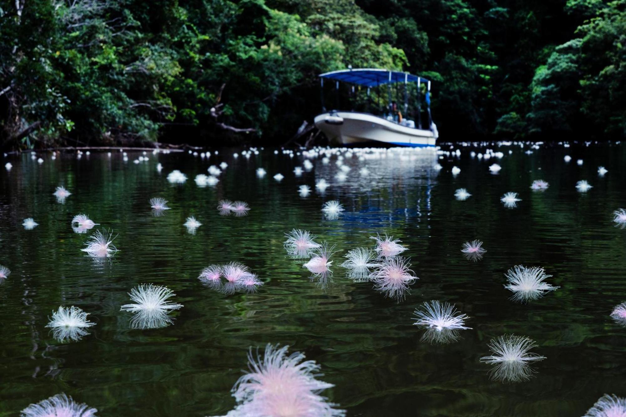 Iriomote Hotel By Hoshino Resorts Urauchi 外观 照片