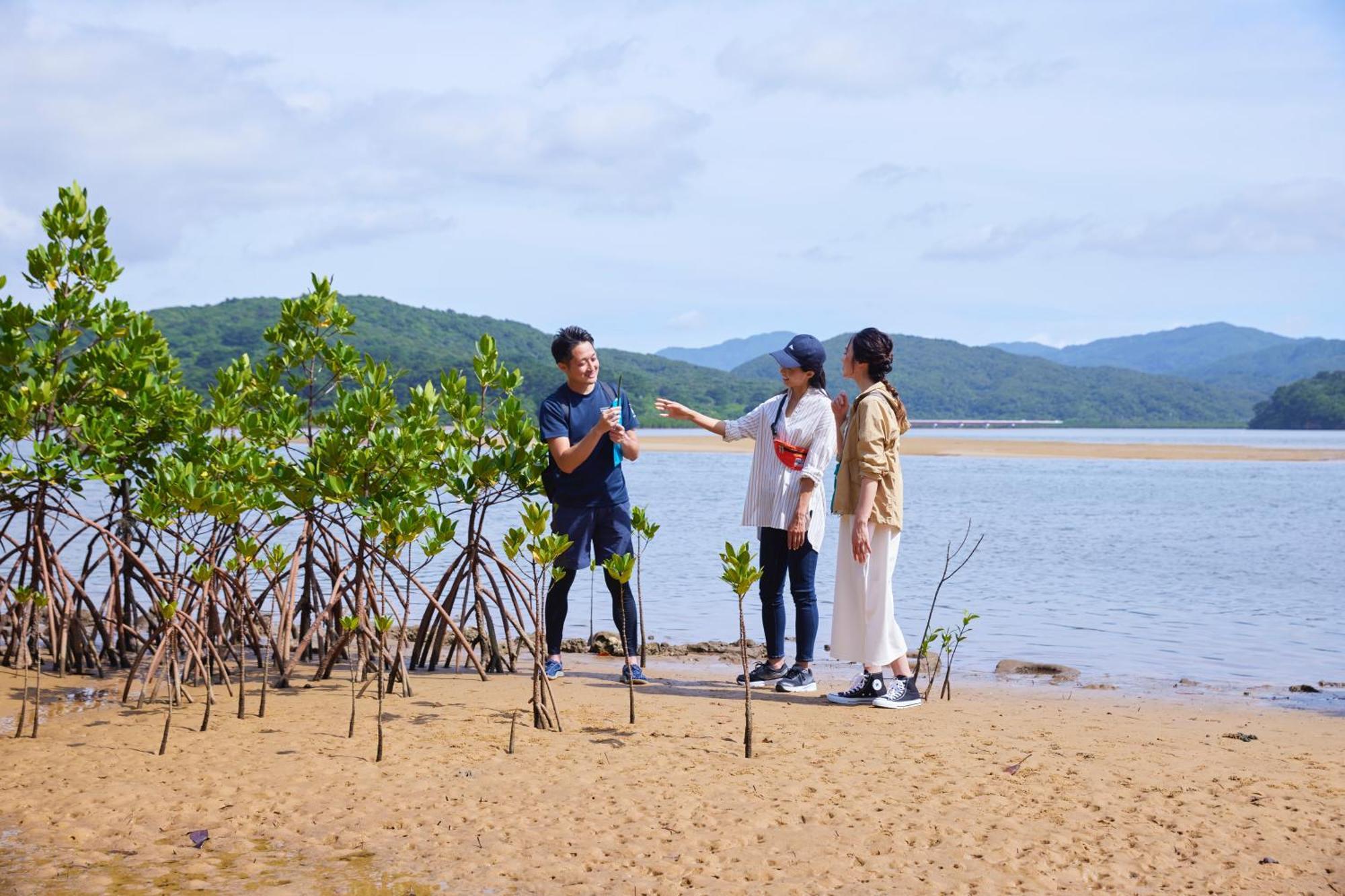 Iriomote Hotel By Hoshino Resorts Urauchi 外观 照片